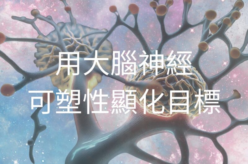 顯化(Manifestation)是指“使用視覺化和正向肯定等方法，幫助實現渴望的目標，並相信實現的可能性”。神經科學家Dr. Tara Swart認為，顯化不僅僅是將想法變成現實，更是將大腦的潛力與專注的、有意識的行動相結合。