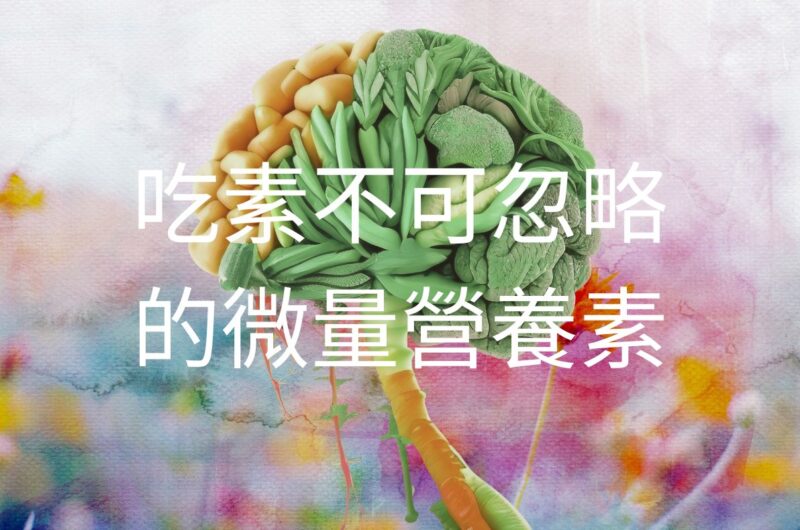 純素食的大腦健康